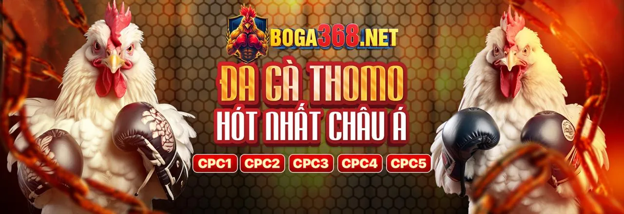 Đá gà trực tuyến 99vn khuyến mãi