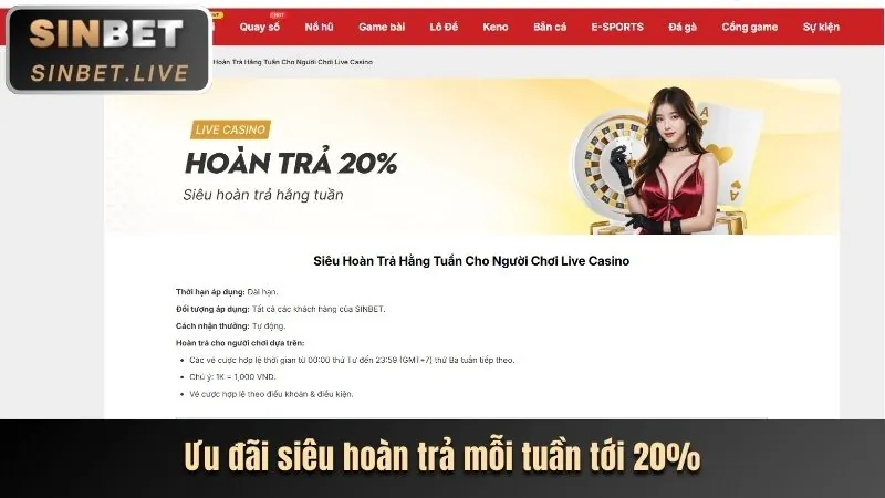 Tổng quan các chương trình khuyến mãi 99vn